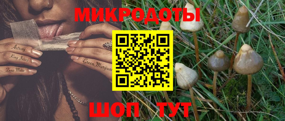 Галлюциногенные грибы Cubensis Усть-Илимск