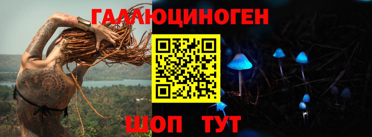 Галлюциногенные грибы GOLDEN TEACHER  Галлюциногенные грибы мицелий  продажа наркотиков  Усть-Илимск  Вход с VPN 